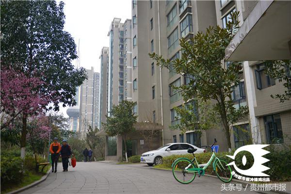 贵阳组团骑共享单车,贵阳投放共享单车能骑多远