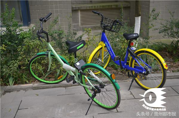 贵阳组团骑共享单车,贵阳投放共享单车能骑多远
