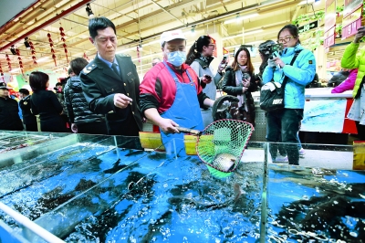 活鱼抽检出药物残留怎样处罚,鱼类兽药残留超标