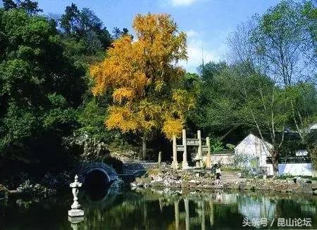 厉害了昆山陆家,厉害了江苏