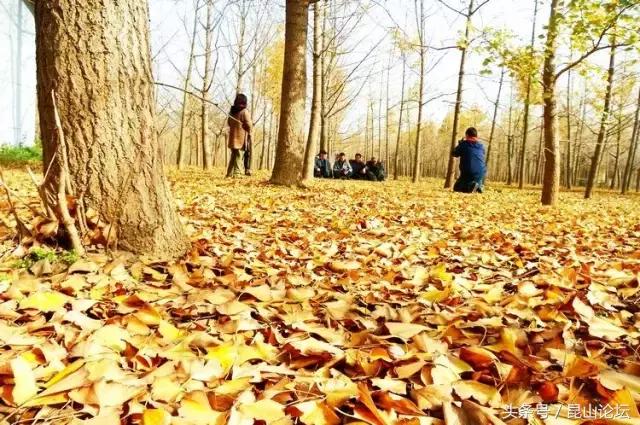 厉害了昆山陆家,厉害了江苏