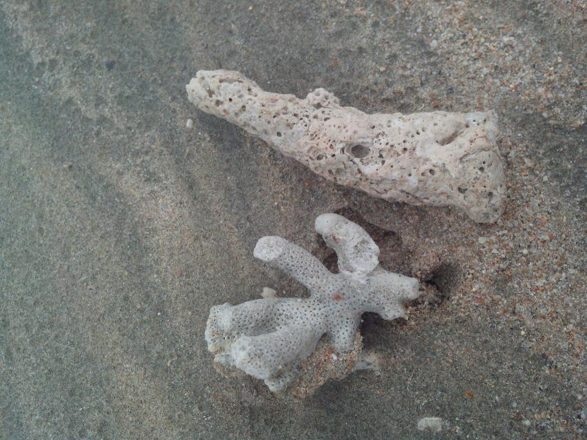 海南环岛自由行攻略最详细,海南环岛骑车多少公里