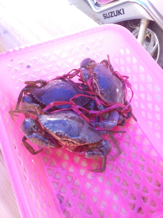 海南环岛自由行攻略最详细,海南环岛骑车多少公里