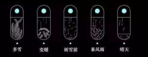 用小瓶子做神器,如何做一个天气瓶