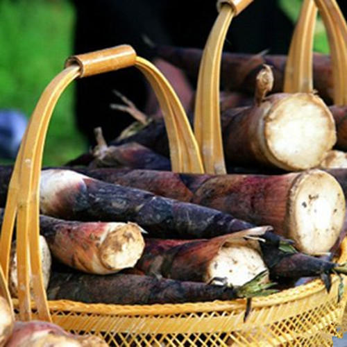 你知道冬笋炒腊肉有多好吃吗,为什么说冬笋最好吃