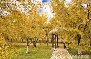 qq个性霸气说说