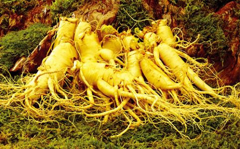 坐月子最禁忌的六种食物,一定牢记!