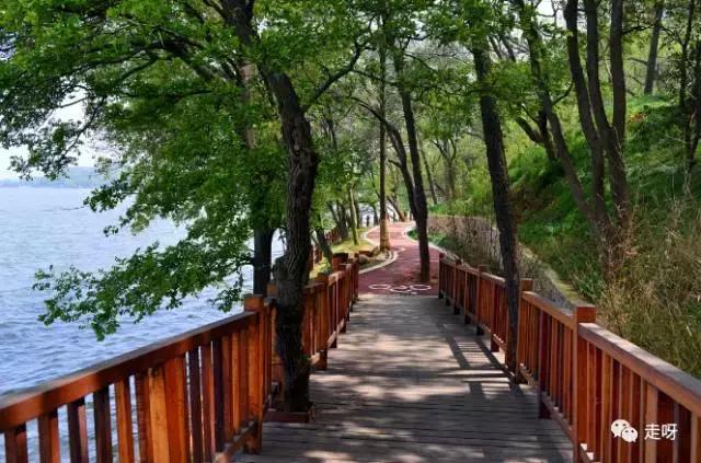 东湖樱花园两日游攻略,东湖绿道游玩最佳攻略