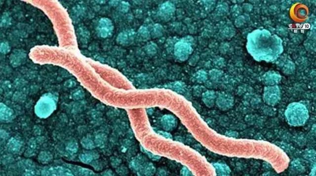 健康之路萎缩性胃炎,健康之路胃癌也能被治愈