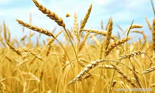 2017下半年天气情况,2016年天气形势分析