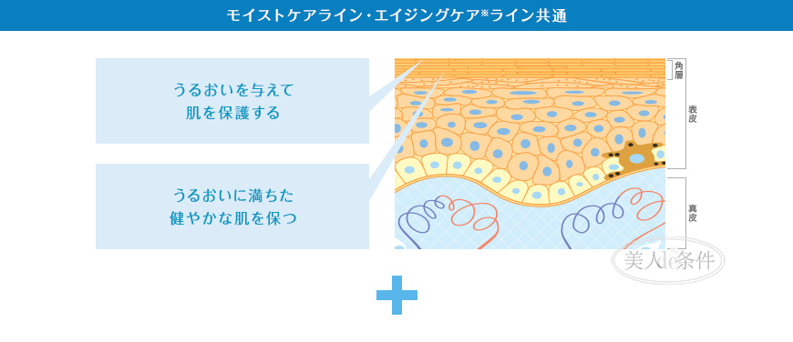 揭露化妆品行业最黑暗的秘密,全面揭秘化妆品骗局