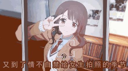 荷兰猪尿钙是什么意思,怎么判断荷兰猪尿钙