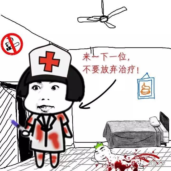 荷兰猪尿钙是什么意思,怎么判断荷兰猪尿钙