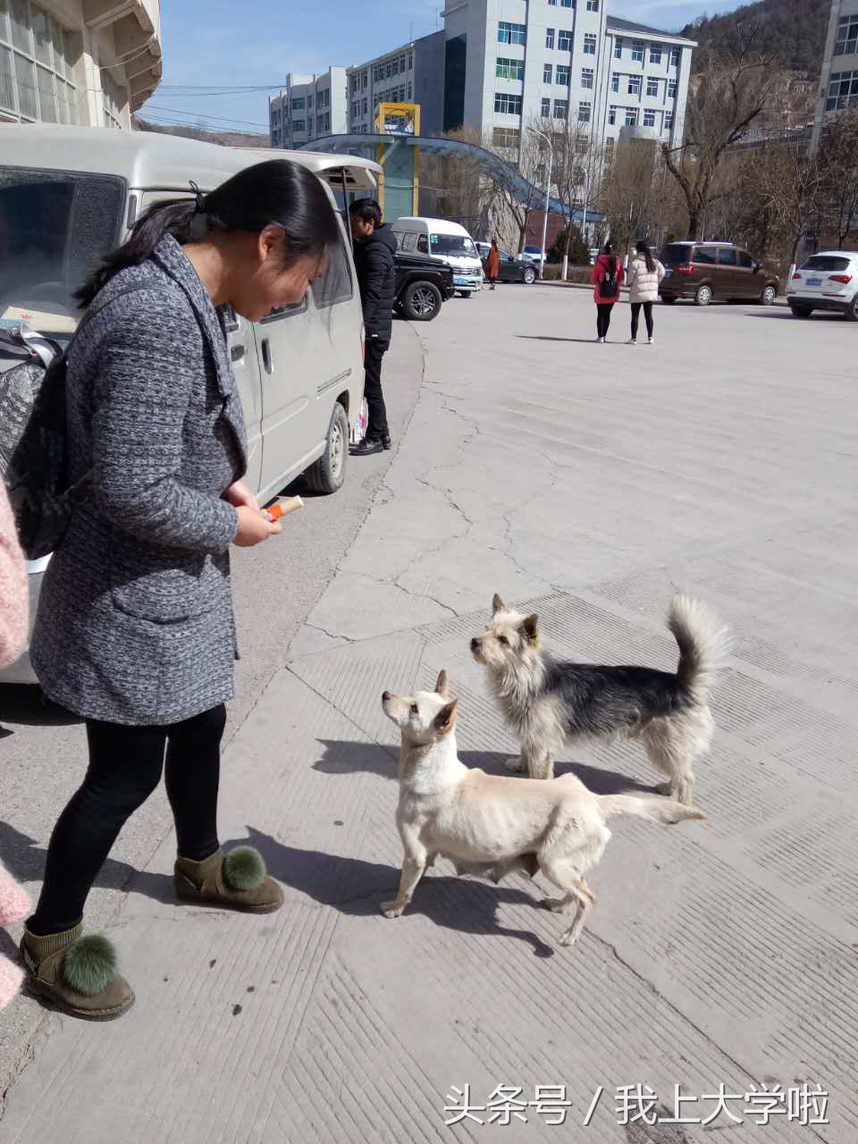延安大学清晨,延安大学早晨
