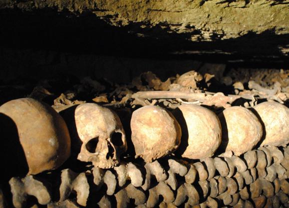 盗墓贼解决方案,盗墓贼为了防止宝物被吞