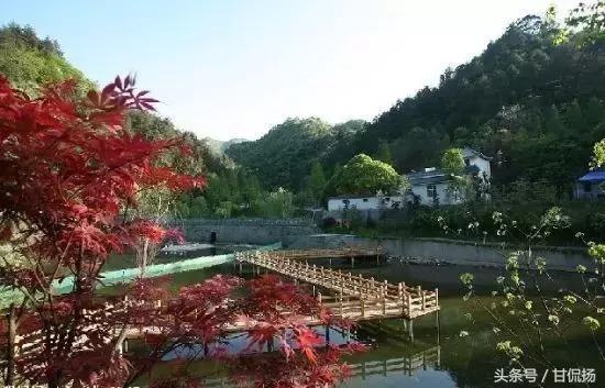 周末中山值得去打卡的地方,中山周末去耍的公园