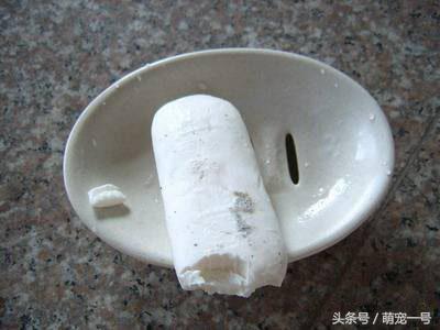 养了一只金毛,养了只金毛