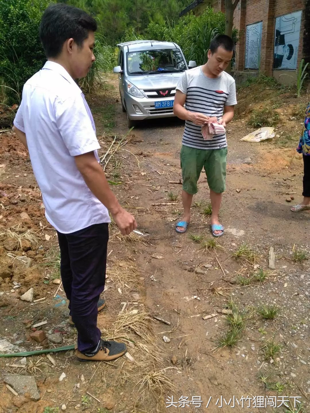 养殖竹鼠违法吗,竹鼠养殖合法吗