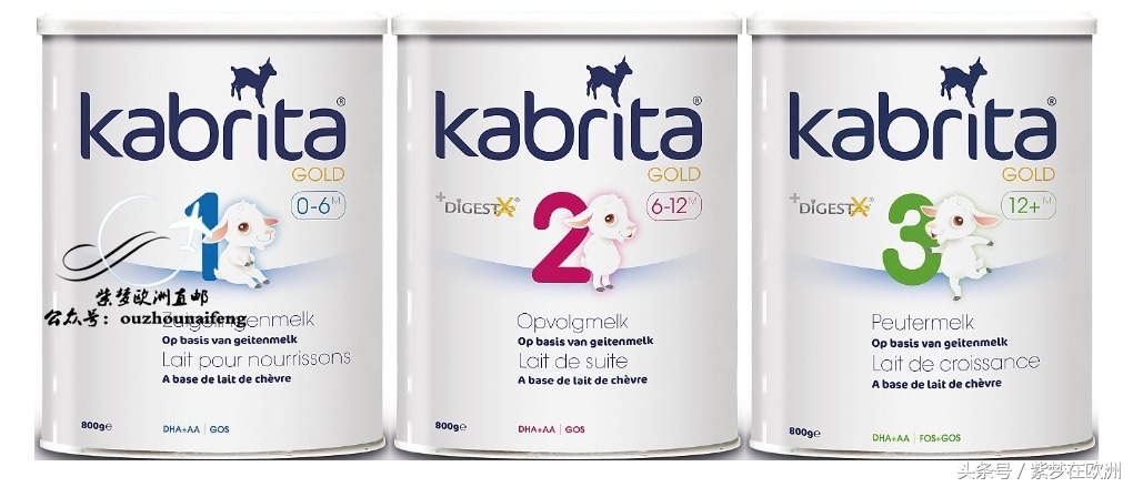 国内能买到荷兰的奶粉吗,荷兰当地奶粉排行榜前十名