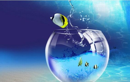 二手鱼缸清洗消毒,鱼缸用高锰酸钾消毒以后怎么清洗