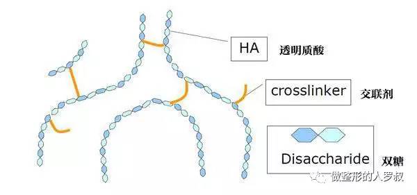 罗叔:10问玻尿酸(建议收藏)