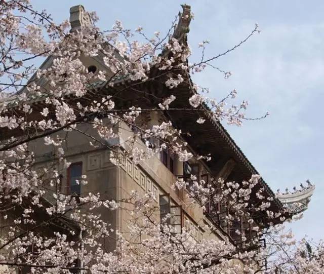 涓夌敓涓変笘鍗侀噷妗冭姳鐧芥祬,涓夌敓涓変笘鍗侀噷妗冭姳灏戣緵