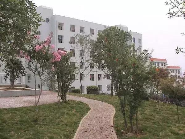 宜昌这个很多人骂了3年，却爱她一万年的地方！真的回不去了！