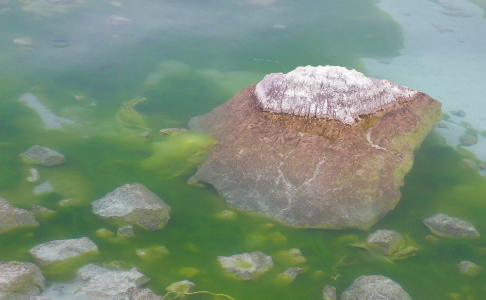 新疆之旅探索神秘的天池,新疆天池带你看风景