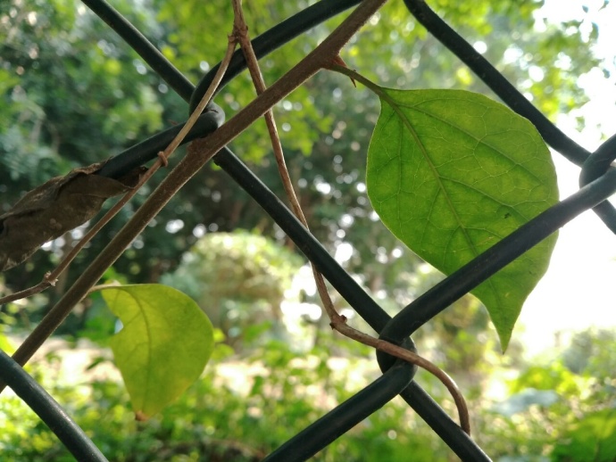 6GB大有可畏360手机N5一周用户体验报告：畅快！