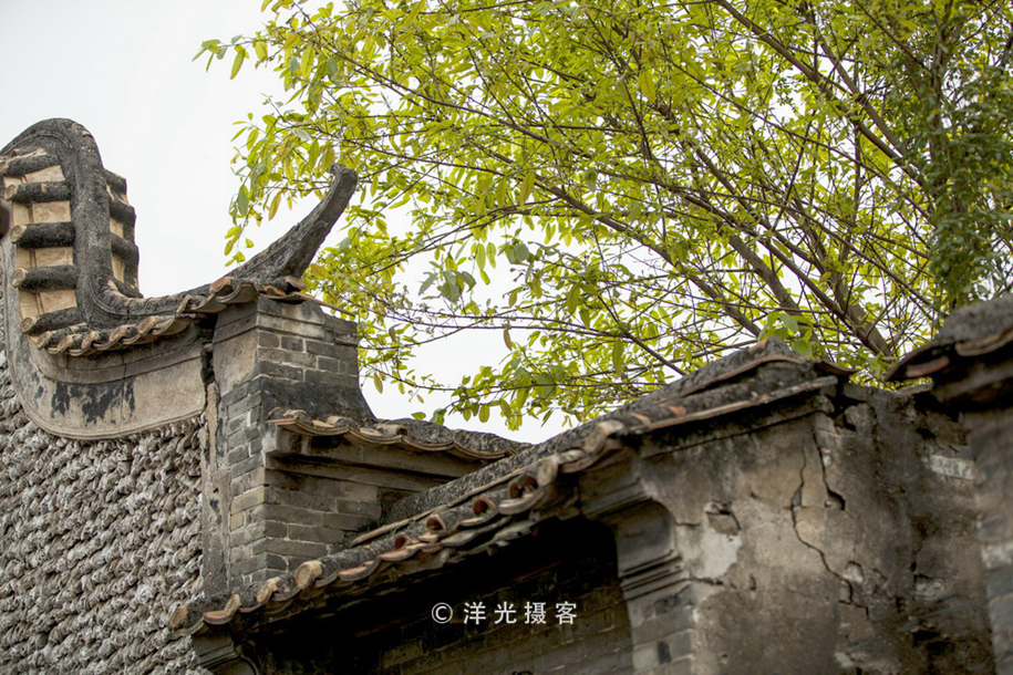 有人说榕树容财不容人是什么意思,榕树不容人的迷信说法