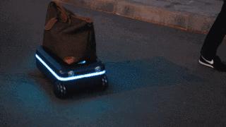 女王，你该把旅行托付给这样的旅行箱