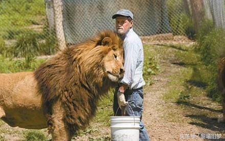 原来动物的世界里也有竞争,动物世界竞争关系