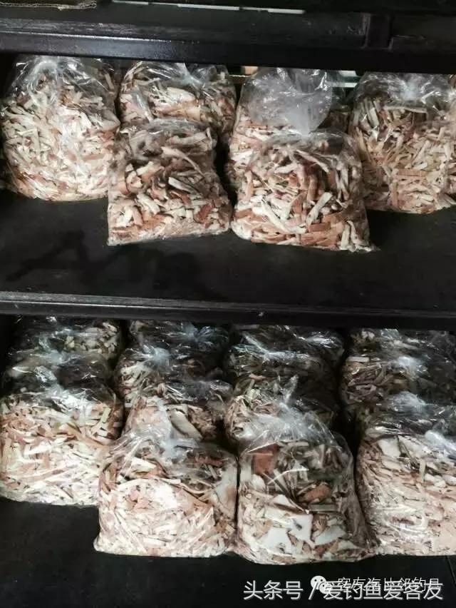 泰国巨骨舌鱼钓场位置,泰国钓鱼钓巨物位置