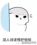 兔子养了几天不想养了,自从养了兔子就开始天天不顺