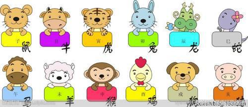 生肖婚配真的准吗,婚配看生肖还是星座准