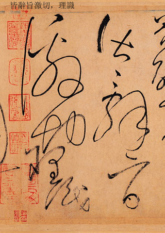 书中五要之三：养