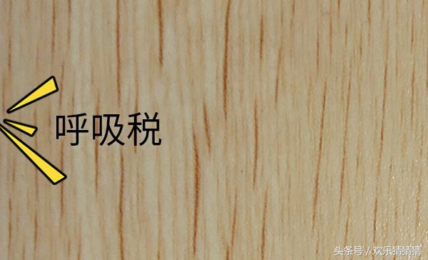 世界各国税收标准,盘点世界上那些奇葩的税收