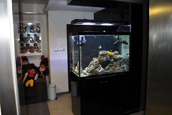 门口鱼缸放石头好不好,门口鱼缸放什么最好