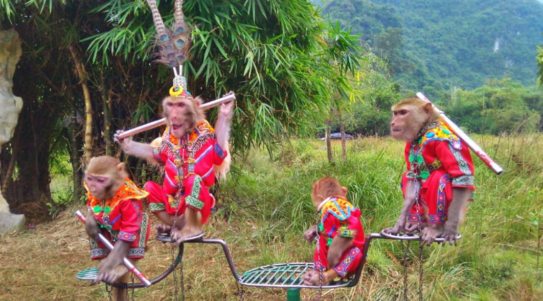 中兴v5max配置,中兴v5裸眼3d手机评测