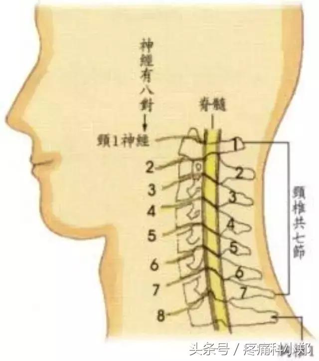 治颈椎病的小窍门：颈椎痛一招解决