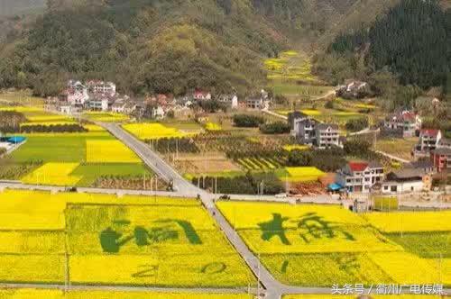 不去韩国游，那去哪玩？衢州旅行社抛出“白菜价”