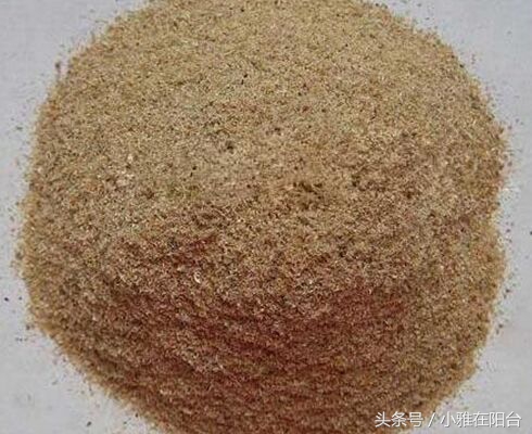 想种花但是没有花盆怎么办,想种花可是没有种子怎么办