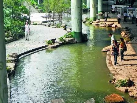 广州游玩攻略一天排行榜,广州免费景点大全排名榜