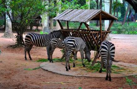 广州游玩攻略一天排行榜,广州免费景点大全排名榜