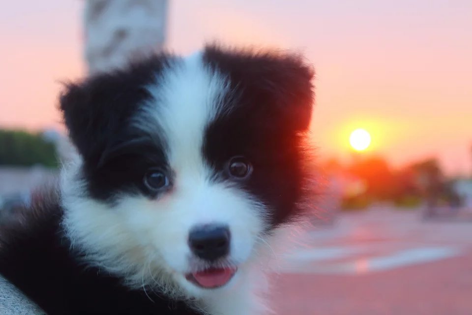 650d佳能2018年还能干嘛,2013佳能650d