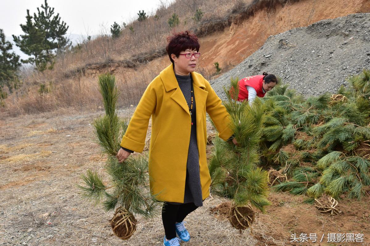 义务植树与创建森林城市,共建文明城市小学生