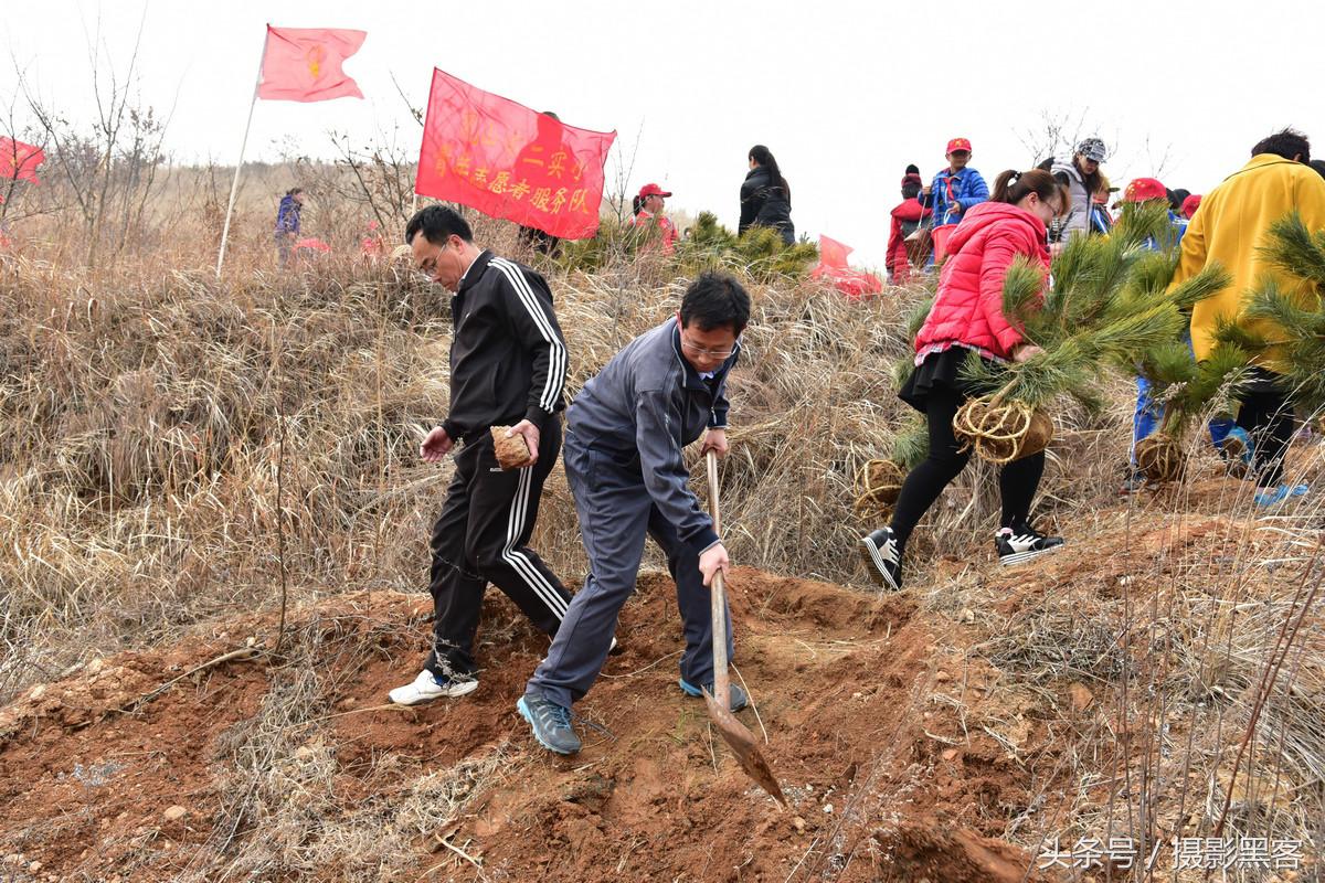 义务植树与创建森林城市,共建文明城市小学生