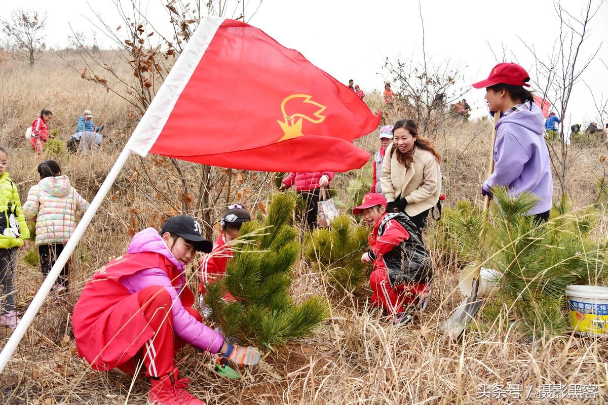 义务植树与创建森林城市,共建文明城市小学生