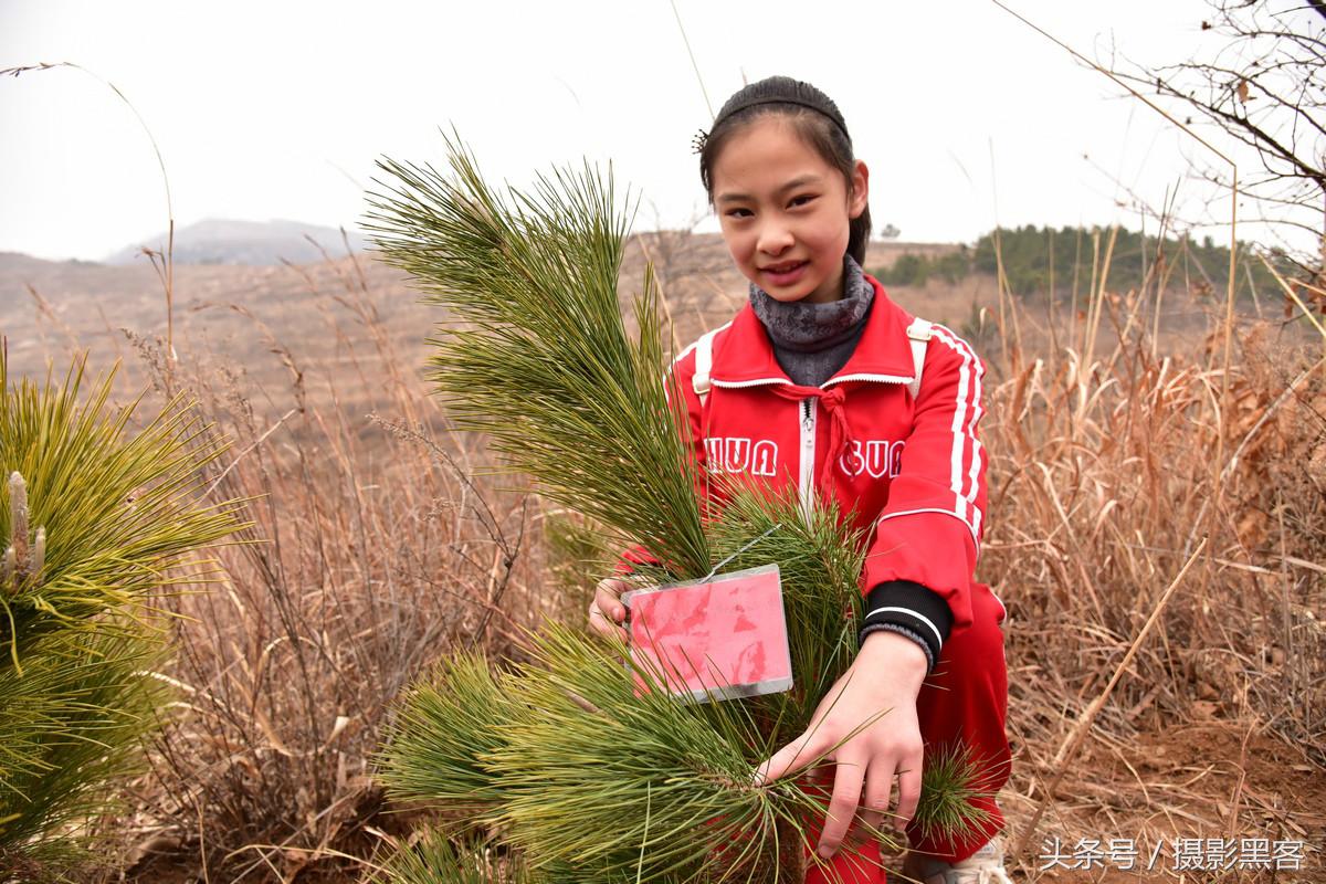义务植树与创建森林城市,共建文明城市小学生