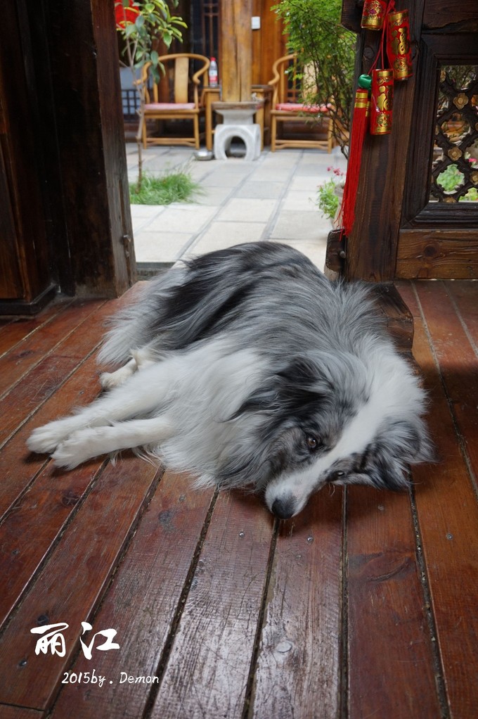 彩云以南,我们终于出发の我带着你,你带着钱!